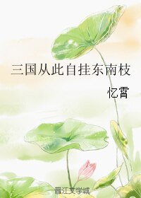 三国从此自挂东南枝