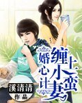 婚心计：缠上小蛮妻