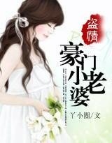 盗情：豪门小老婆