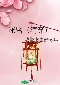 秘密（清穿）