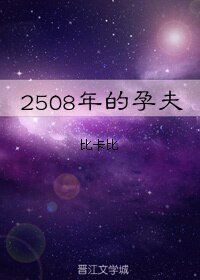 2508年的孕夫