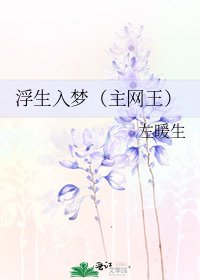 浮生入梦（主网王）