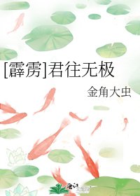 [霹雳]君往无极