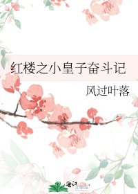 红楼之小皇子奋斗记 [参赛作品]