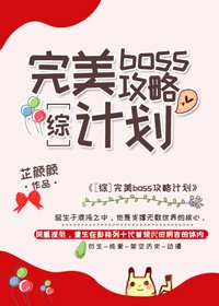 [综]完美boss攻略计划（G27）