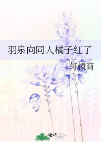 羽泉向同人橘子红了