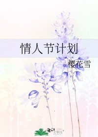 情人节计划