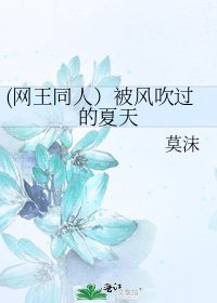 (网王同人）被风吹过的夏天