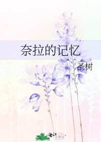 奈拉的记忆