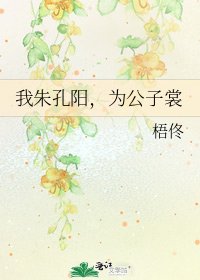 我朱孔阳，为公子裳