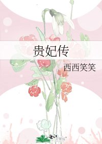 贵妃传