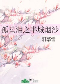 孤星泪之半城烟沙