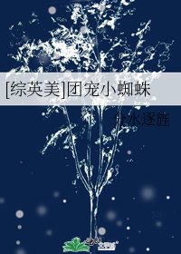 [综英美]团宠小蜘蛛