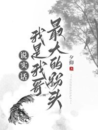 （历史同人）[秦]说实话,我是我哥最大的粉头