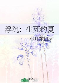 浮沉：生死约夏