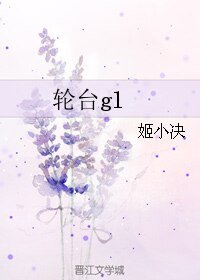 轮台gl